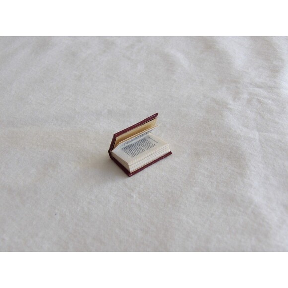 Dollhouse Miniature Book Beauty And The Beast #170? Of 300 Barbara Raheb - Picture 11 of 14